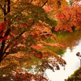 話題の青黒 白金ドレスはなぜ色が違って見えるのか 解説します 株式会社ノイエ